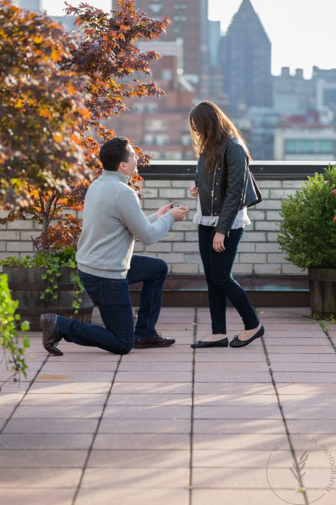 marriage proposal photoshoot