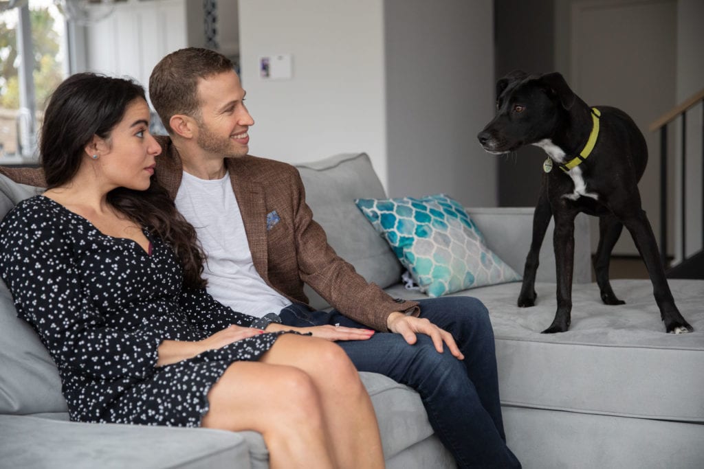 proposal ideas with dogs