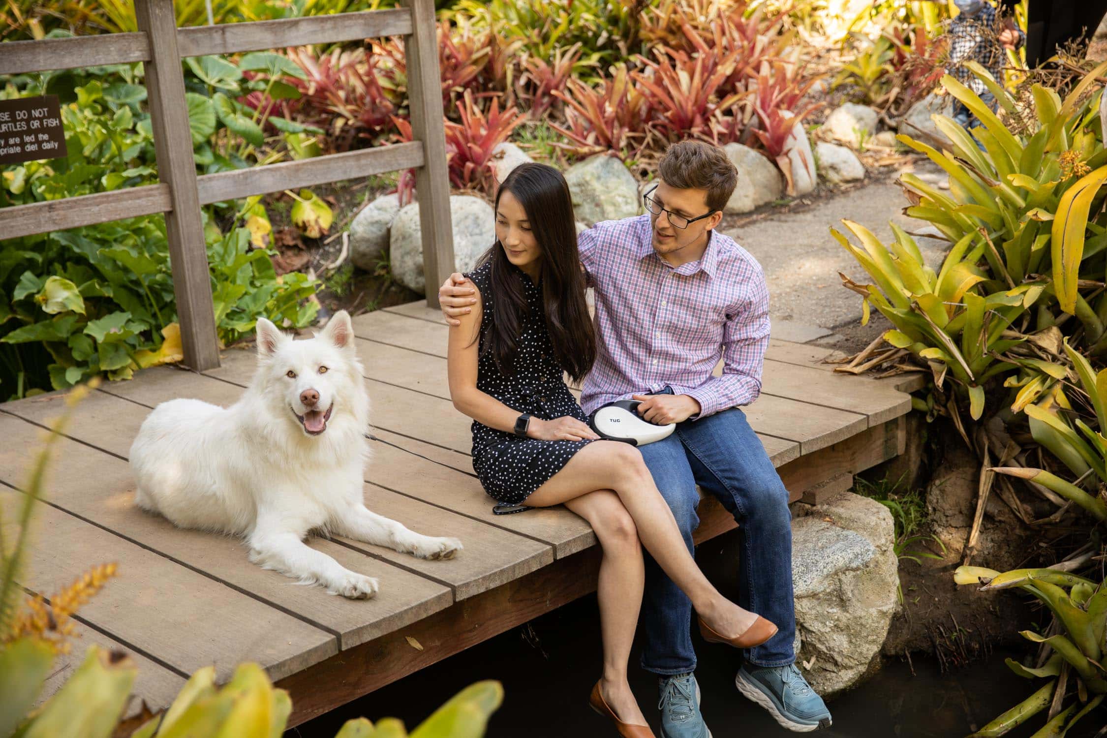 Dog Proposal · Proposal Ideas with Dogs · Los Angeles Proposal Photographer