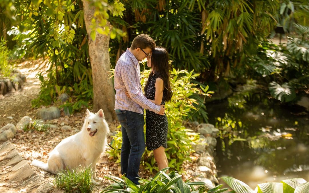 Dog Proposal · Proposal Ideas with Dogs · Los Angeles Proposal Photographer